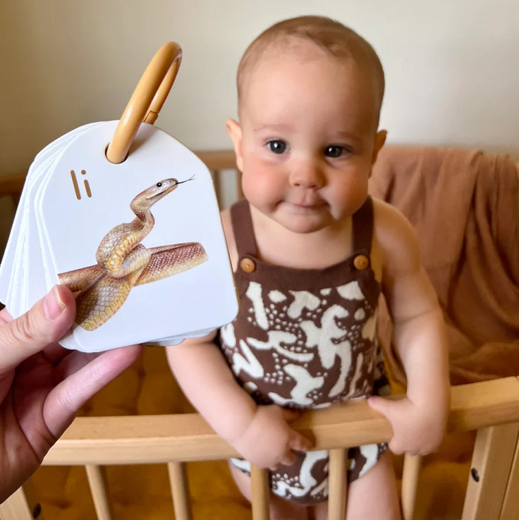 Ringed Alphabet Flash Cards - Australian Animals | Modern Monty