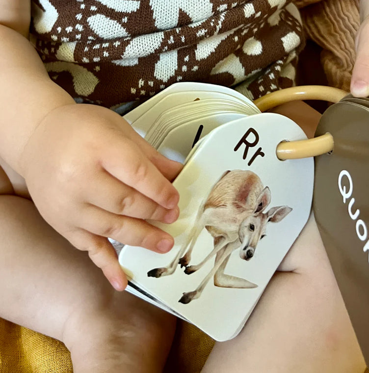Ringed Alphabet Flash Cards - Australian Animals | Modern Monty