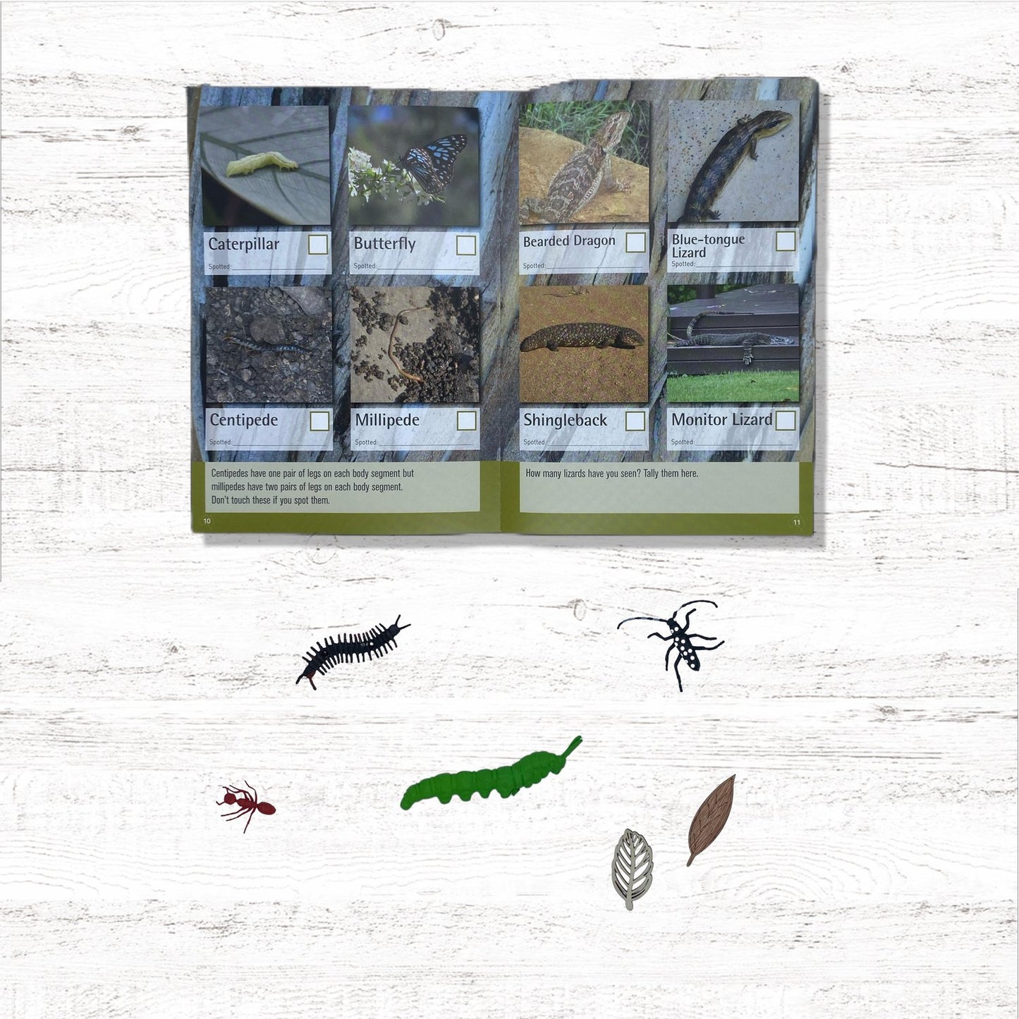 Camping | Spotto Books